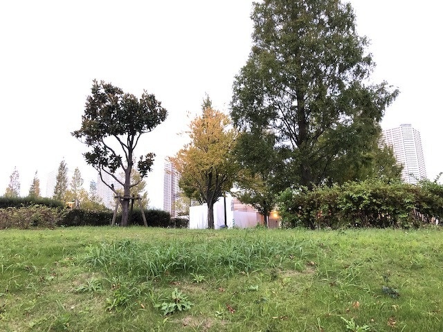 石積みガーデン設置位置(丘の上)