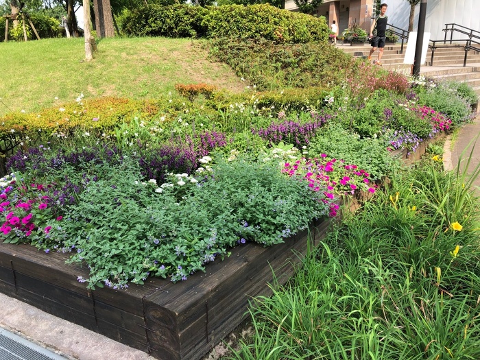 多年草と一年草を組み合わせたガーデン