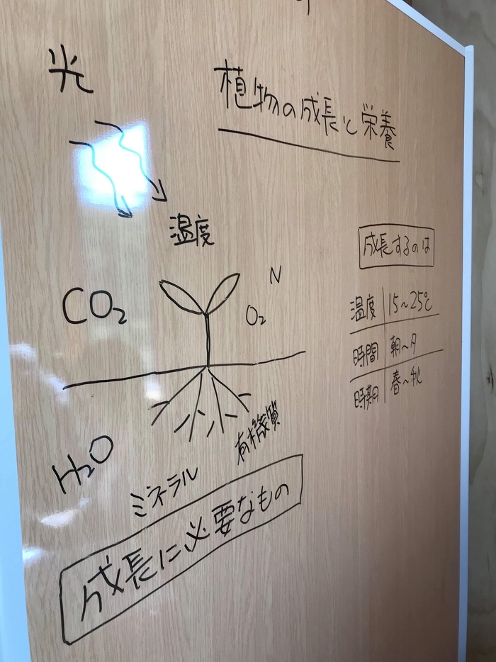 第2回「植物の成長と栄養」の様子