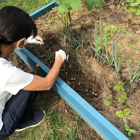 食育クラブの活動風景
