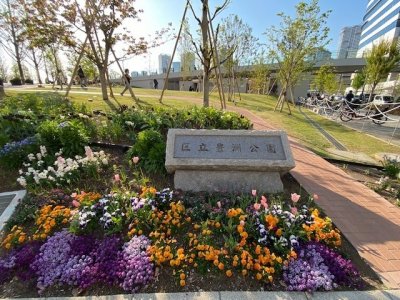 メインガーデン / 豊洲公園入口はカラフルな春の一年草が満開です