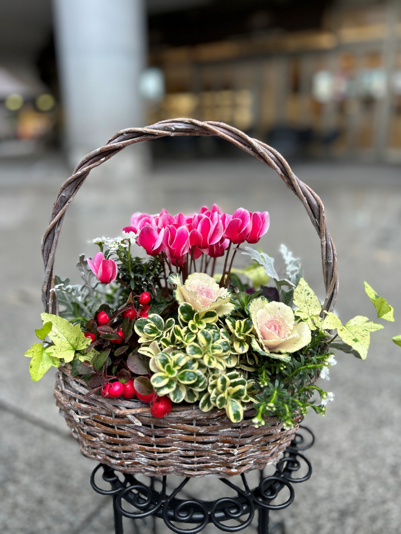 寄せ植え 花□季節の花のブリコラージュフラワー レッド系 （土を使わ 