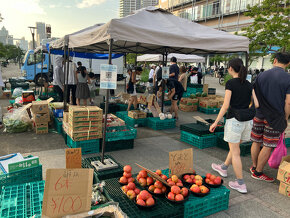 市場直送「ふるてりあ青空市」